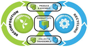 cradle-to-cradle-cicli-prodotti