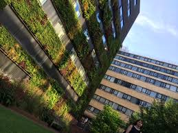 cradle-to-cradle-green-design